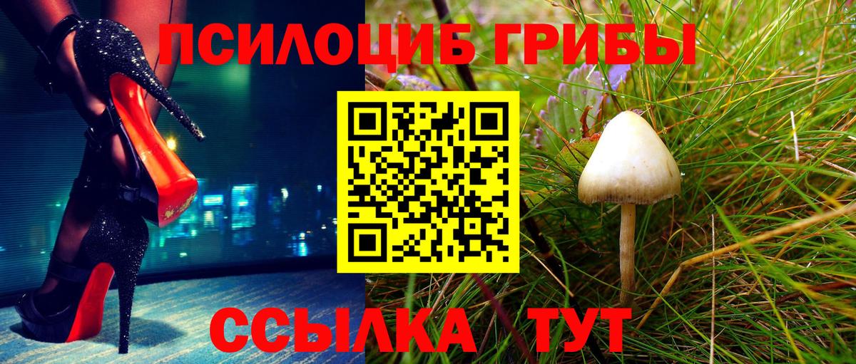 Тула  Галлюциногенные грибы Psilocybine cubensis  Вход с VPN  Псилоцибиновые грибы мухоморы 